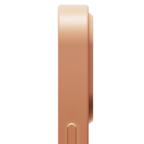 Ốp Lưng 13 Pro Max hiệu Native Union Magnetic-Hàng chính hãng