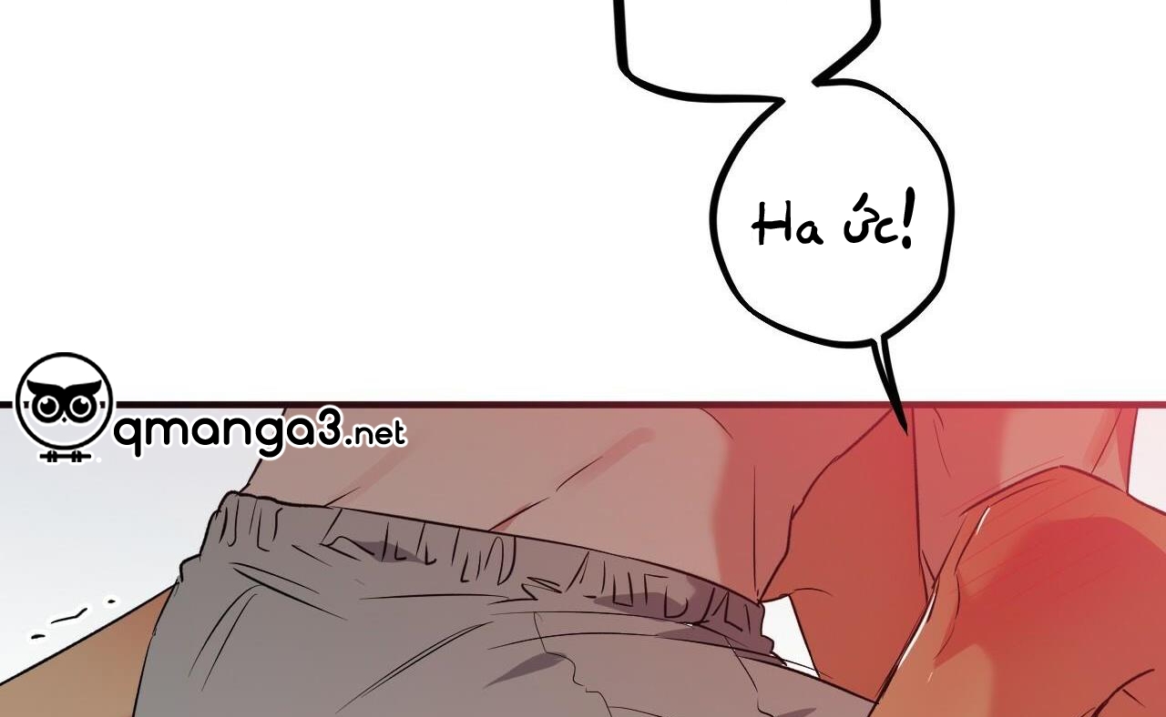 đàn thỏ của habibi chapter 54 81