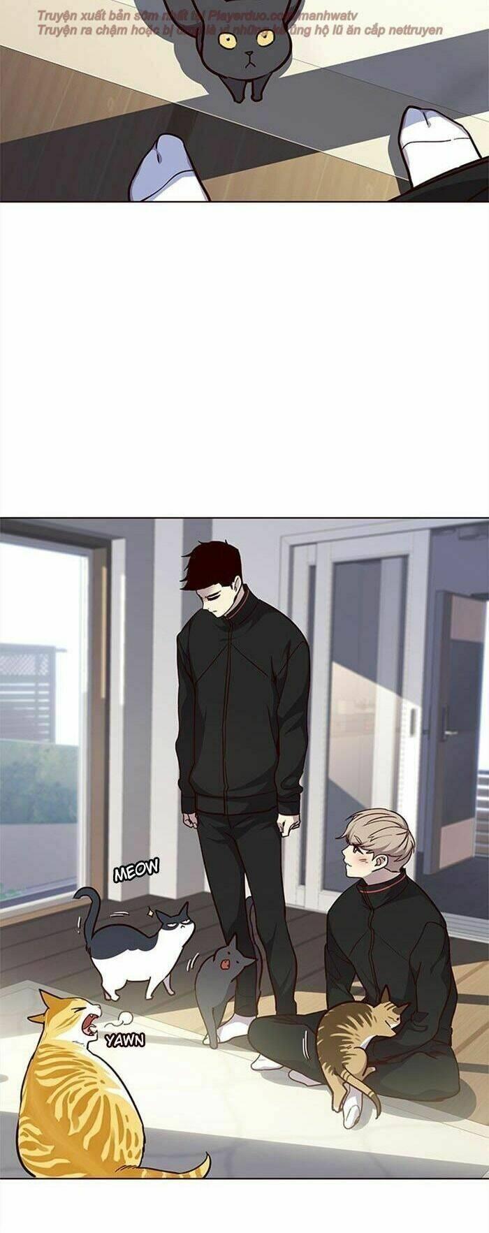 biến thân thành mèo chapter 34 55