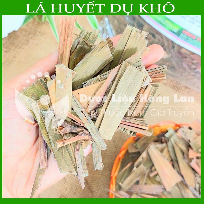 Cây huyết dụ khô sạch đóng gói 500gram