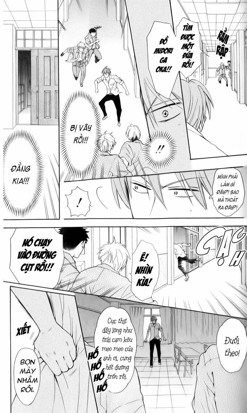 thầy giáo của tôi chapter 48 15