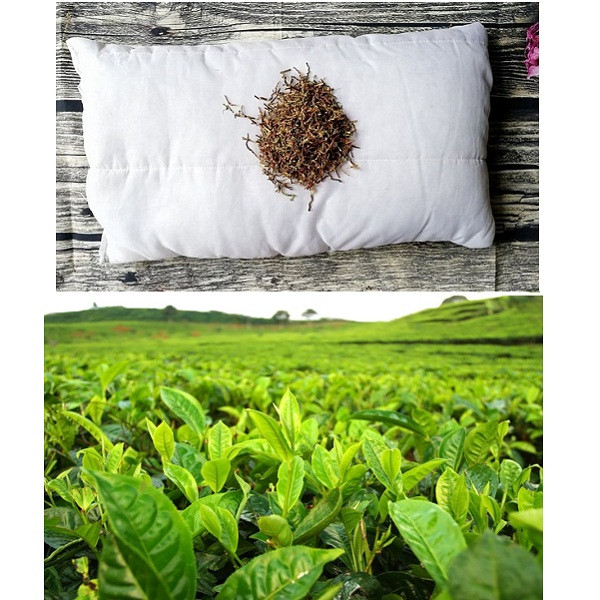 Gối Đầu Trà ô Long Cao Cap 