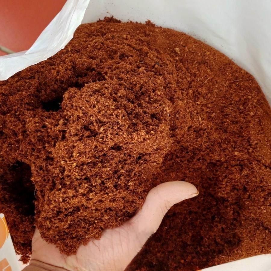 Mụn dừa SFARM đã qua xử lý - Túi 5 dm Giá thể trồng cây