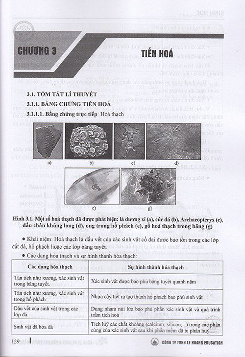 Sách - Luyện thi đánh giá năng lực môn Sinh học - Kiến thức lớp 12 (Dành cho các kì thi Đánh giá năng lực)