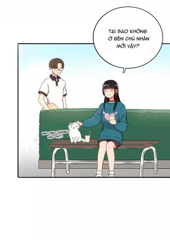 chào buổi sáng, hướng dương chapter 15 50