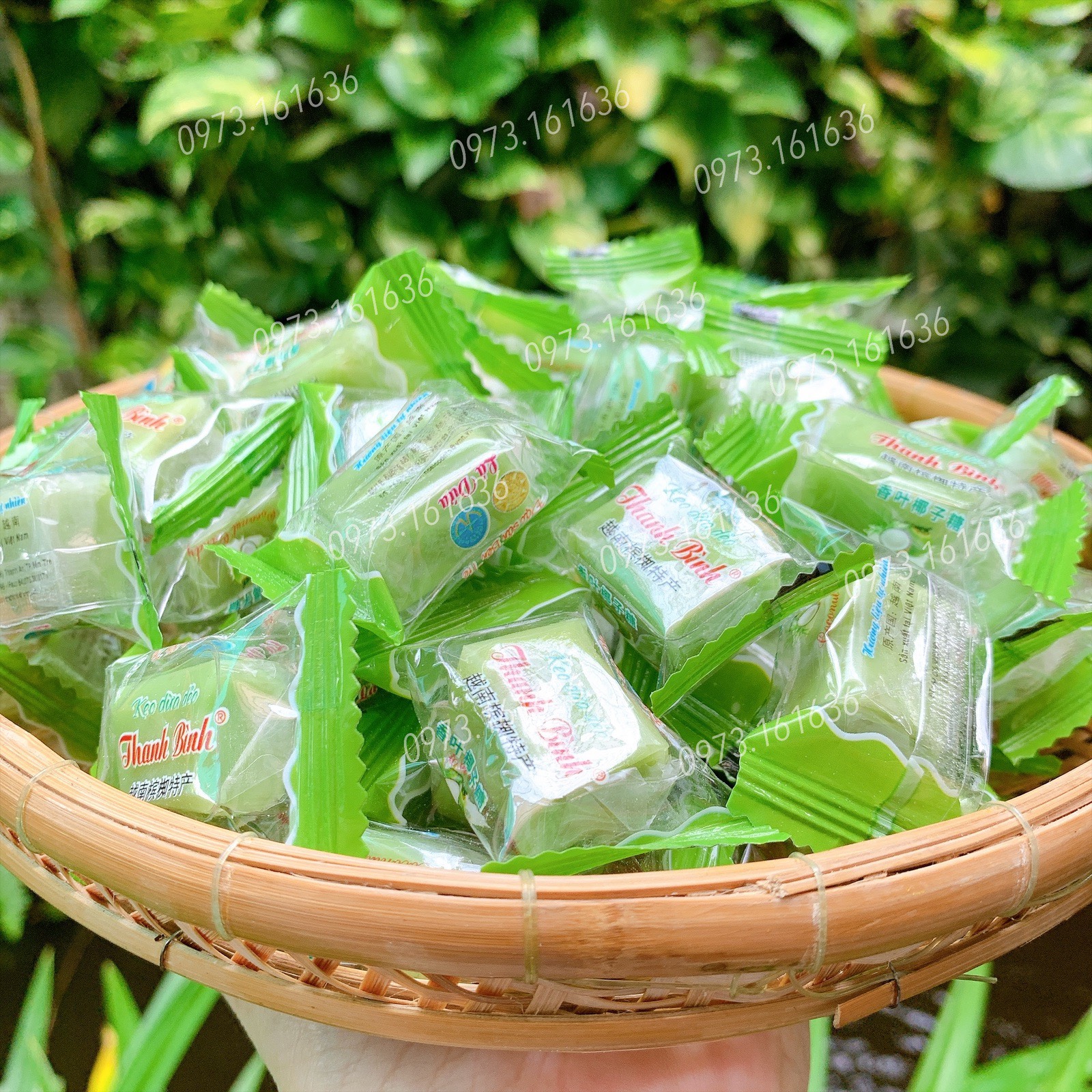 Kẹo Dừa Lá Dứa Thanh Bình - Túi Zip 500g - nguyên chất, có cốt dừa, mềm dẻo, thơm đậm vị vị cốt lá dứa nguyên chất - Đặc Sản Bến Tre
