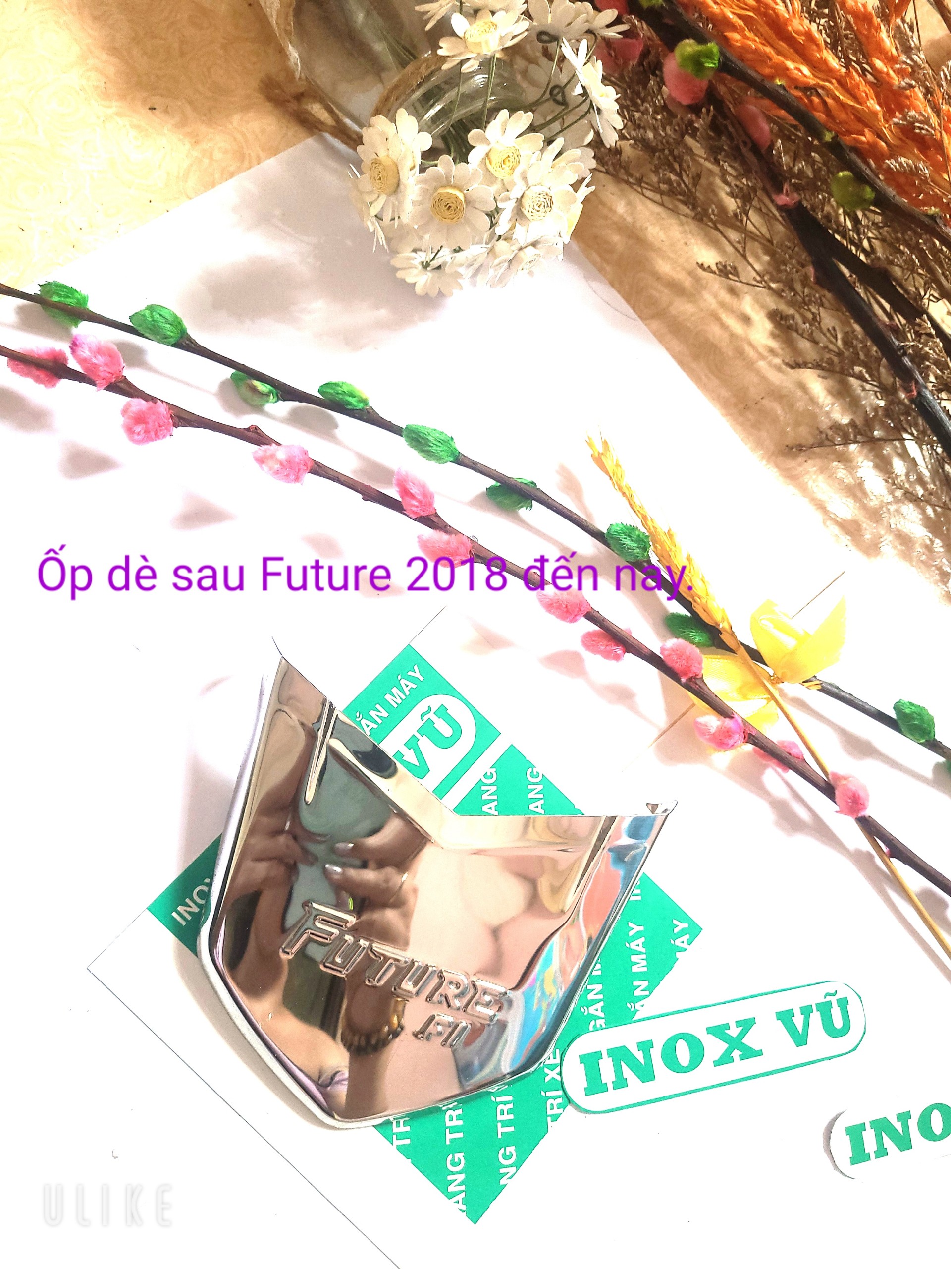 Combo Bộ ốp dè INOX dùng cho xe FUTURE 2018-2023 + 1 tem logo Titan HONDDA