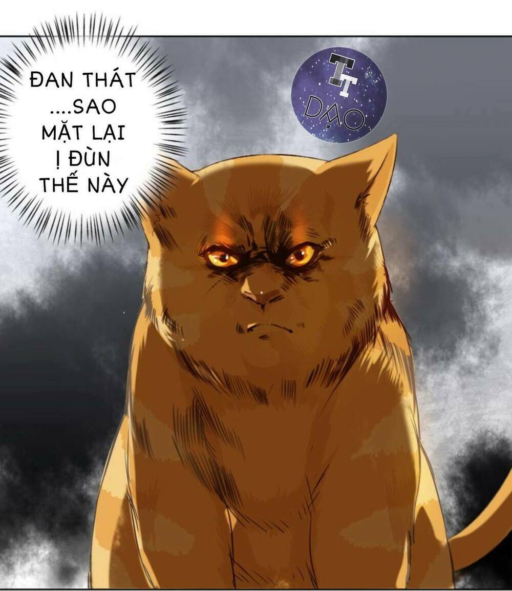 tôi không phải đa nhân cách chapter 11 35