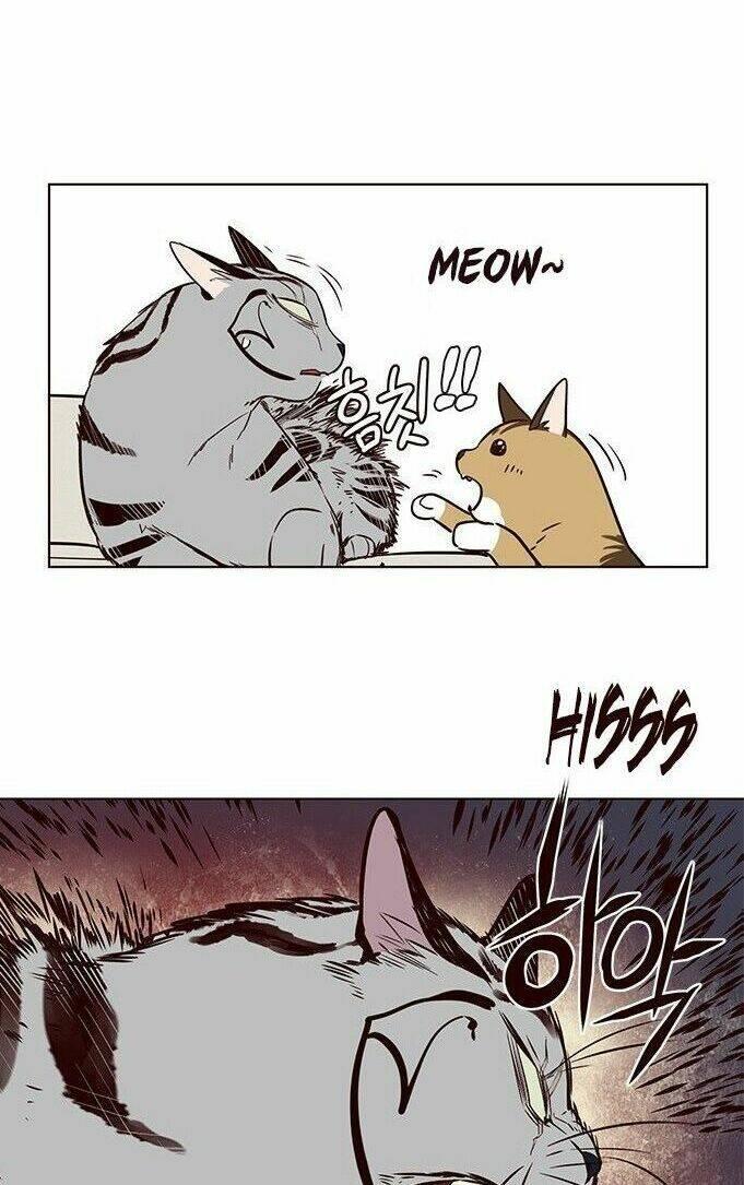 biến thân thành mèo chapter 7 38