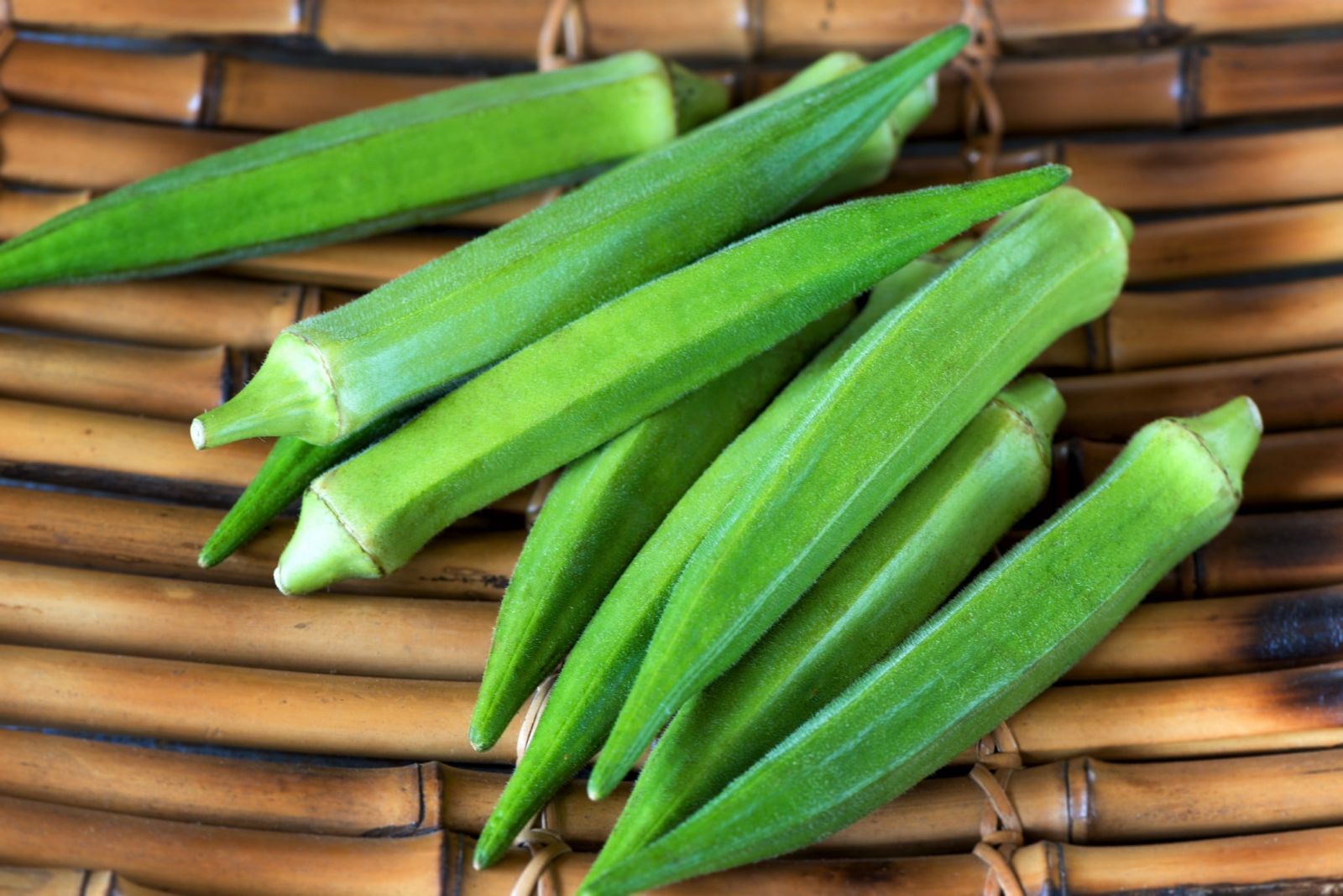 Hạt Giống Đậu Bắp Trái Xanh OP