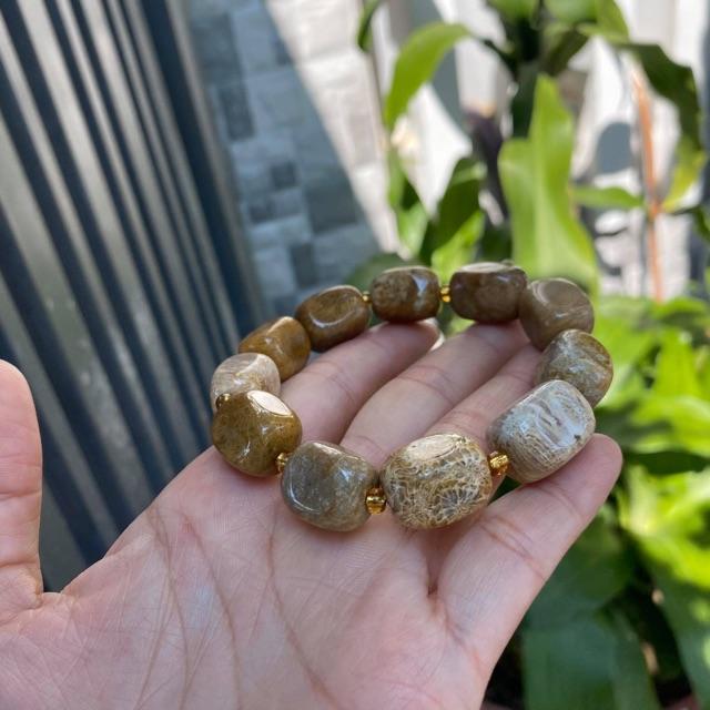 Vòng san hô hoá thạch