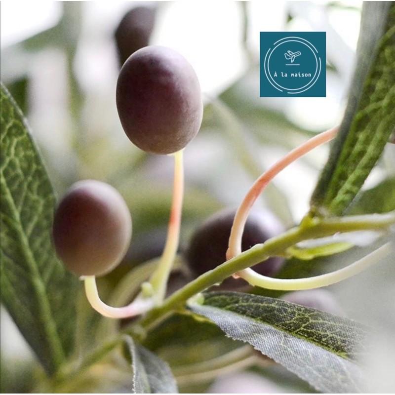 Cành lá olive có quả trang trí nhà, hoa decor chụp ảnh cao cấp