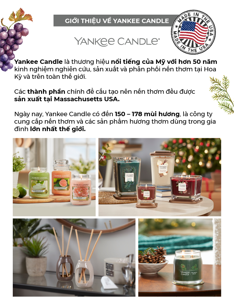 Nến ly tròn sáp đậu nành Yankee Candle size M (369g) - Balsam &amp; Cedar