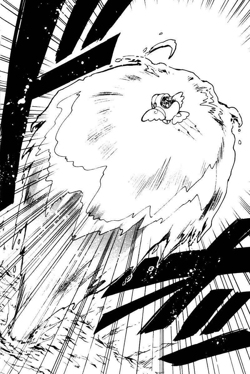 huyền thoại đôi cánh chapter 84 19