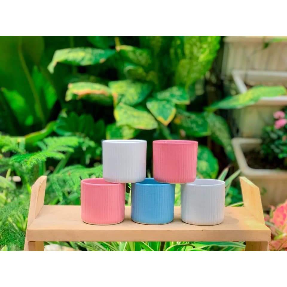 Chậu trồng cây bằng sứ trơn, nhiều màu trồng sen đá, tiểu cảnh, cẩm nhung trang trí
