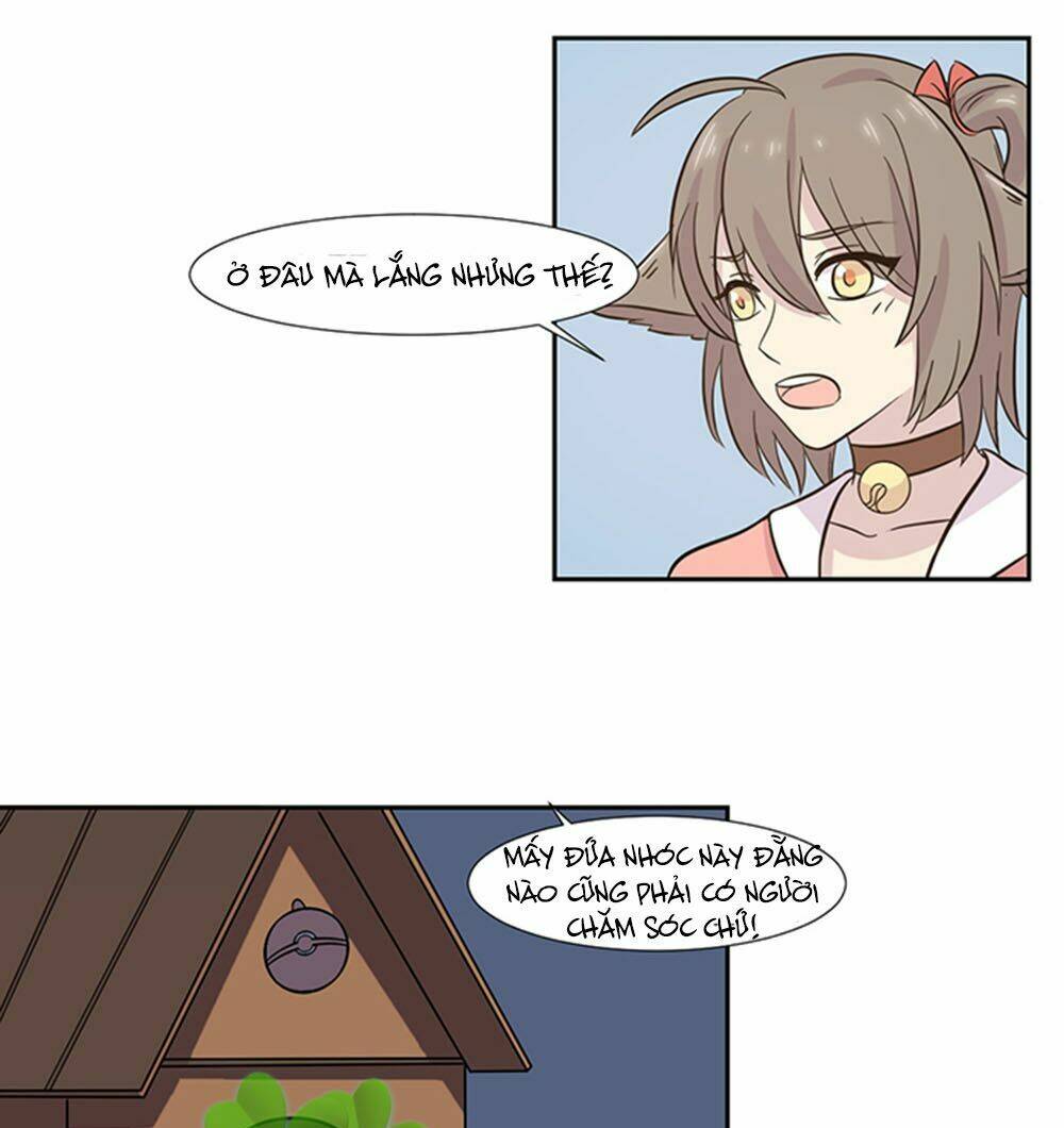 hai chú mèo totem chapter 23 20