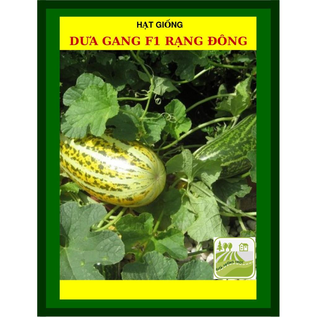 Hạt Giống Dưa Gang Ăn Mát 1 Gram