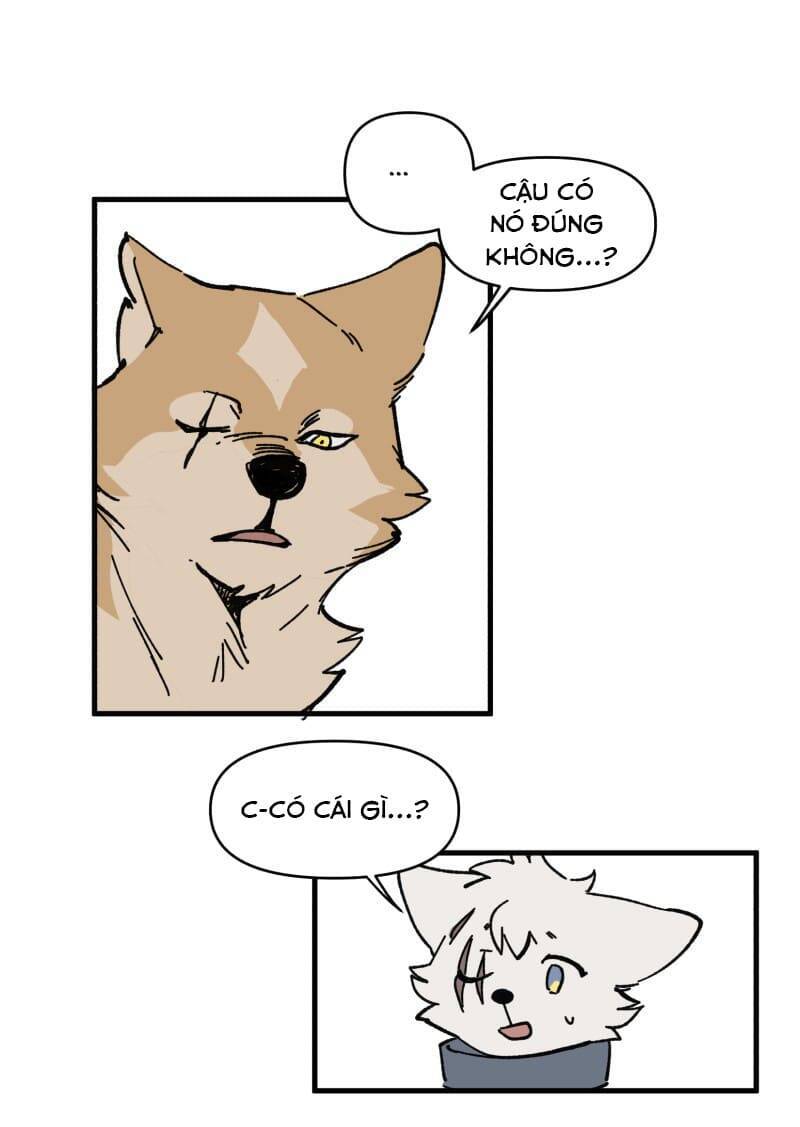 lumine - cội nguồn ánh sáng chapter 149 4