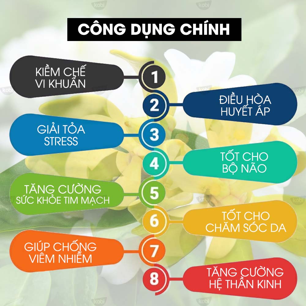 Tinh Dầu Ngọc Lan Tây Kobi - Tinh Dầu Thiên Nhiên Nguyên Chất, Tinh Dầu Xông Phòng, Giúp Giảm Stress, Xua Đuổi Côn Trùng Và Khử Mùi Hiệu Quả, Thích Hợp Dùng Với Đèn Xông Và Máy Khuếch Tán Tinh Dầu (5ml)