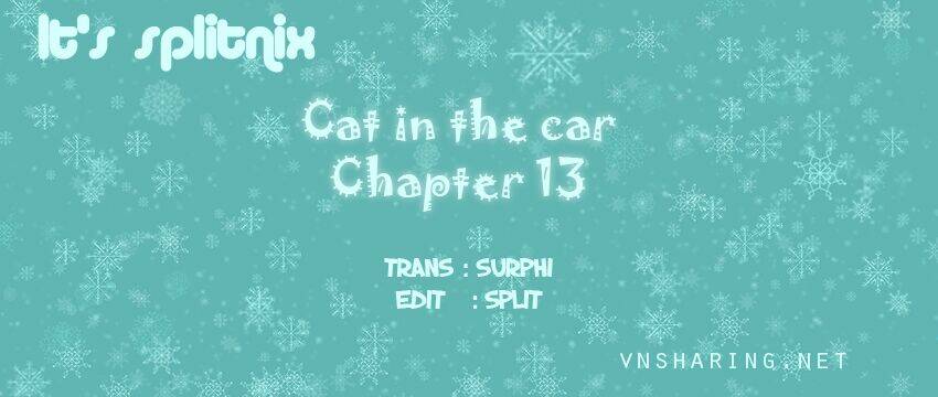 cat in the car chapter 13 1