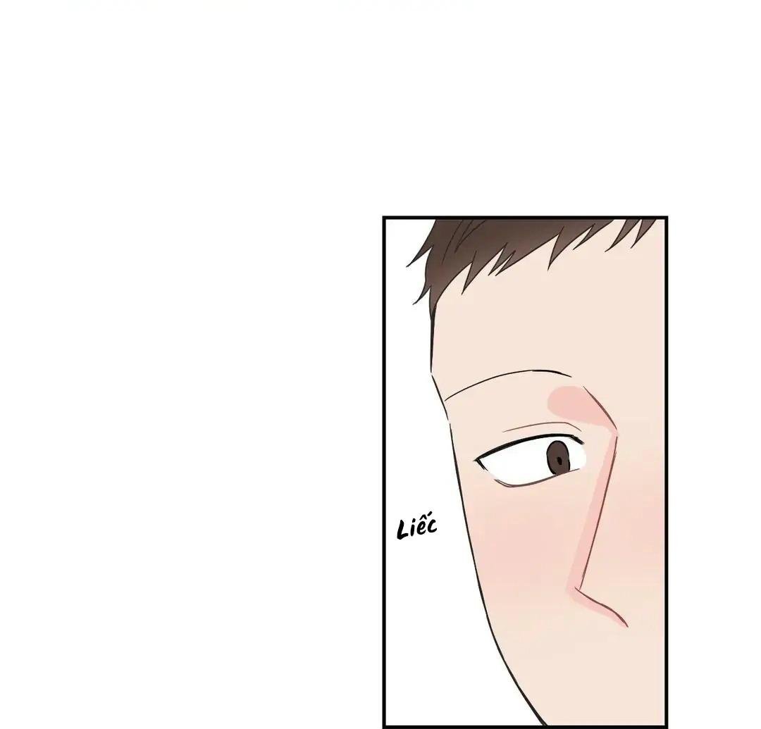 đường ranh giới chapter 29 65