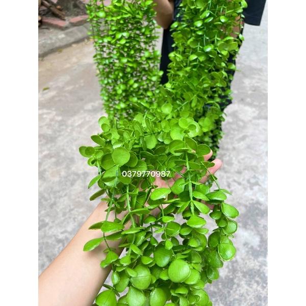 Dây leo giả cúc tần ấn độ Lá To dài 1m- Cây giả