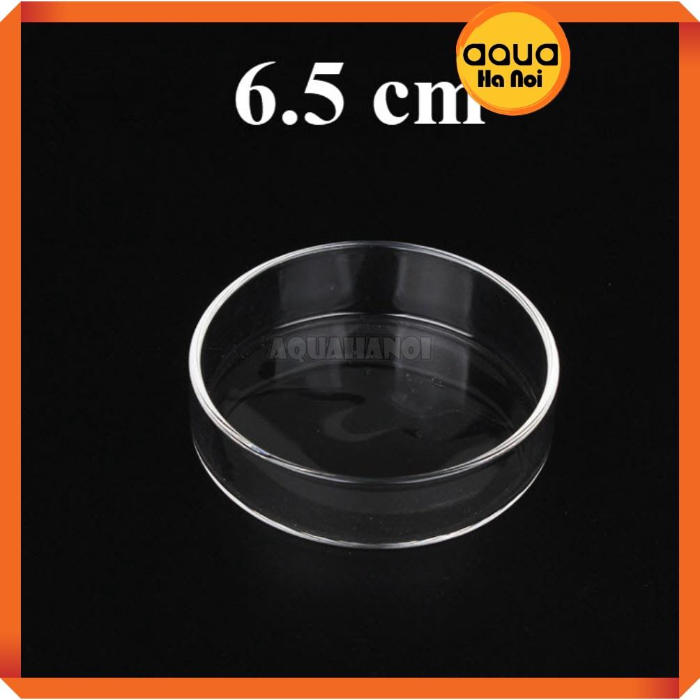 Chén đĩa thủy tinh, arylic đựng thức ăn cho cá tép thủy sinh
