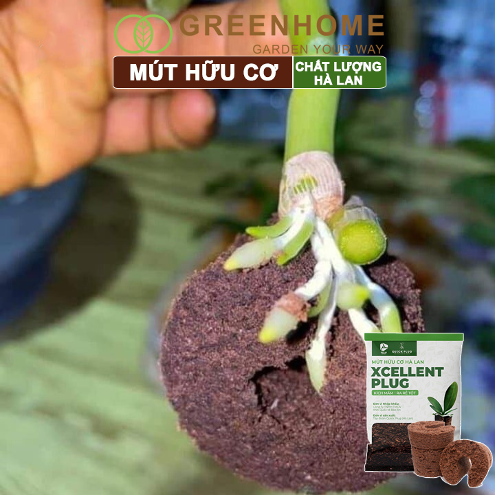 Mút ươm kie Hà Lan, 6x6x4cm, hữu cơ, kích rễ, ươm hạt, chiết cành, trồng thuỷ canh |Greenhome