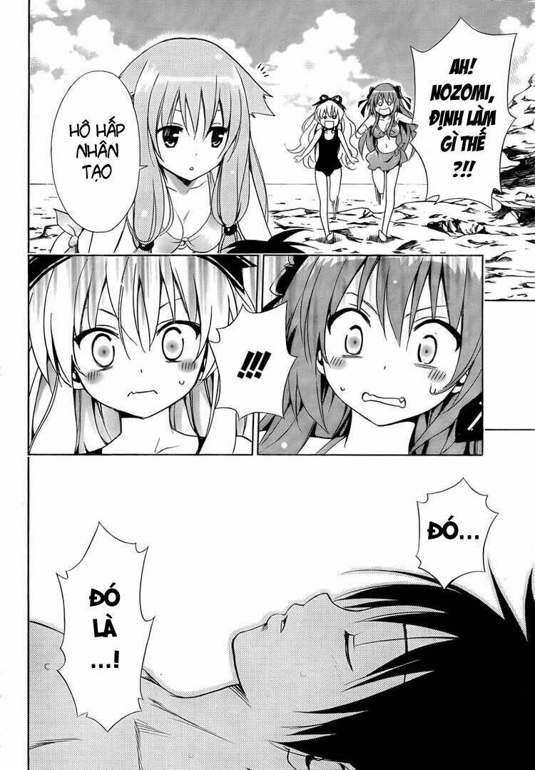 mayoi neko overrun! chapter 5 37