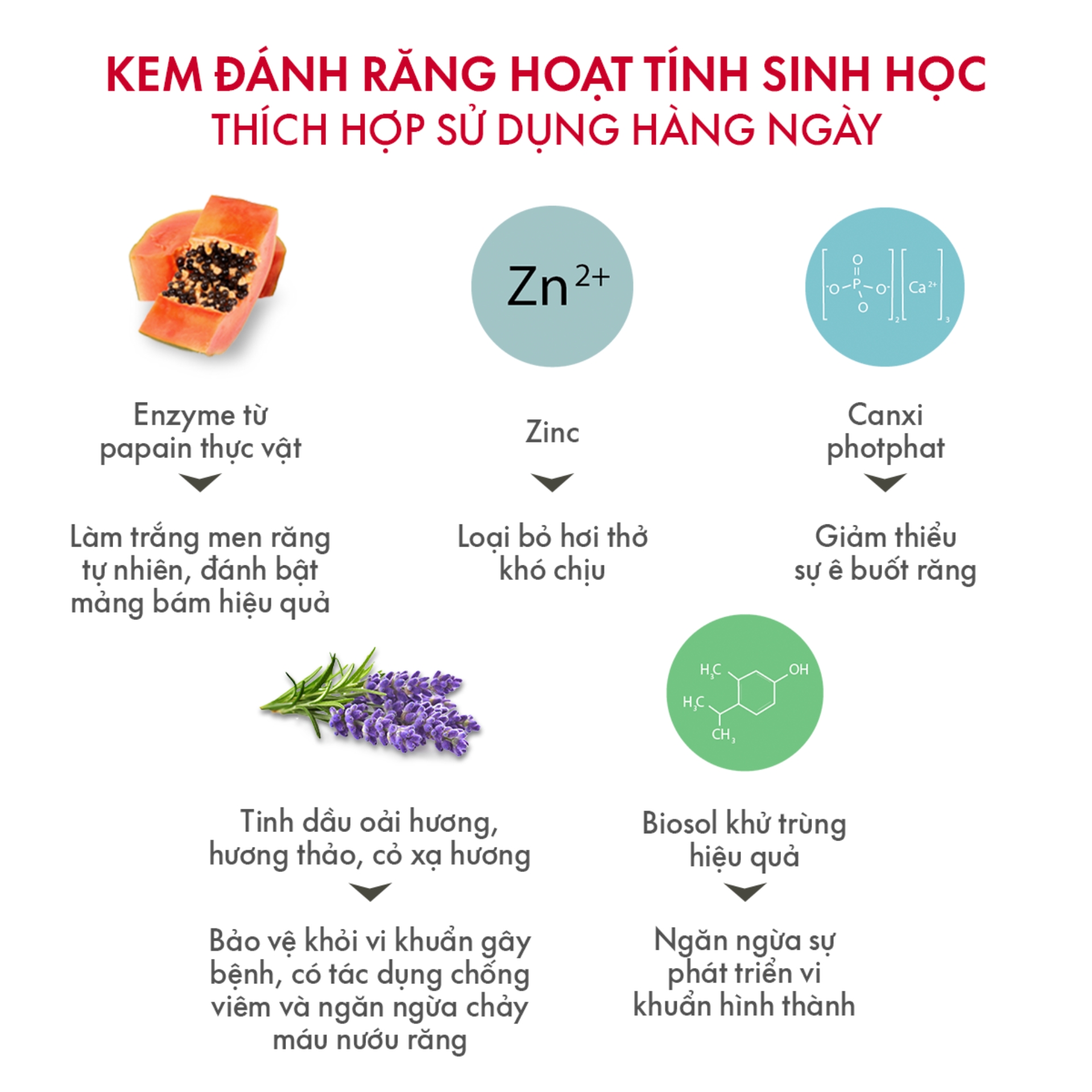 Kem Đánh Răng Giảm Ê Buốt SPLAT Lavendersept Professional Giúp Nướu Khỏe Mạnh, Làm Trắng Và Giảm Ê Buốt Răng 100ml