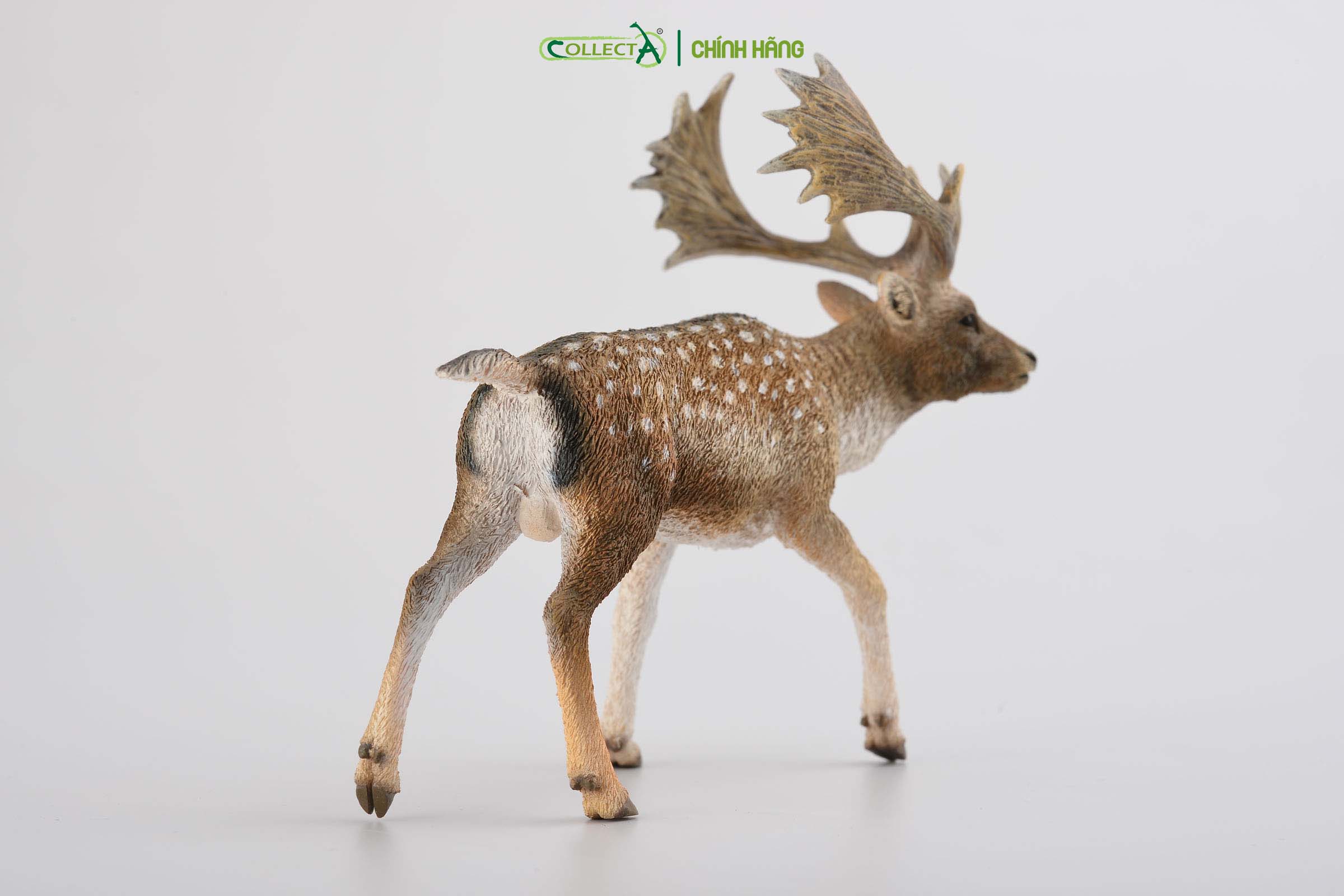Mô hình thu nhỏ: Hươu - Fallow Deer Male, hiệu: CollectA, mã HS 9651350[88685] -  Chất liệu an toàn cho trẻ - Hàng chính hãng