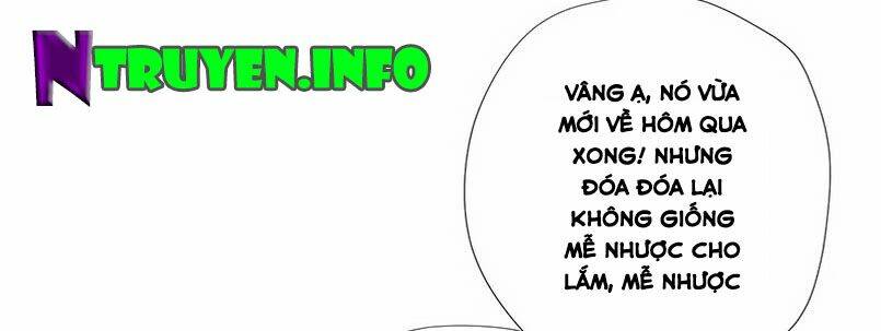 chỉ nhiễm thành hôn: đại thúc sủng vợ vô độ chapter 30 50