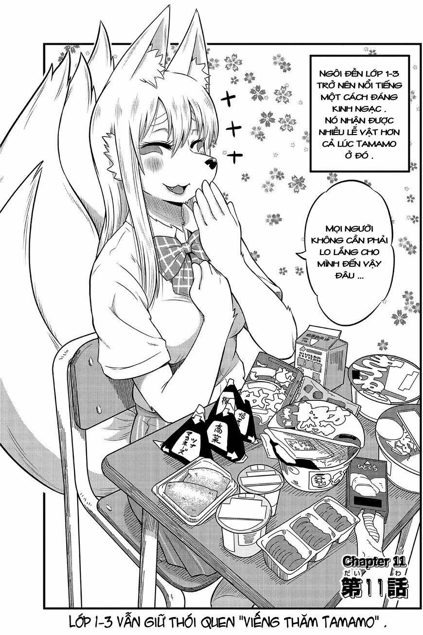 high school inari tamamo-chan ! chapter 11 3
