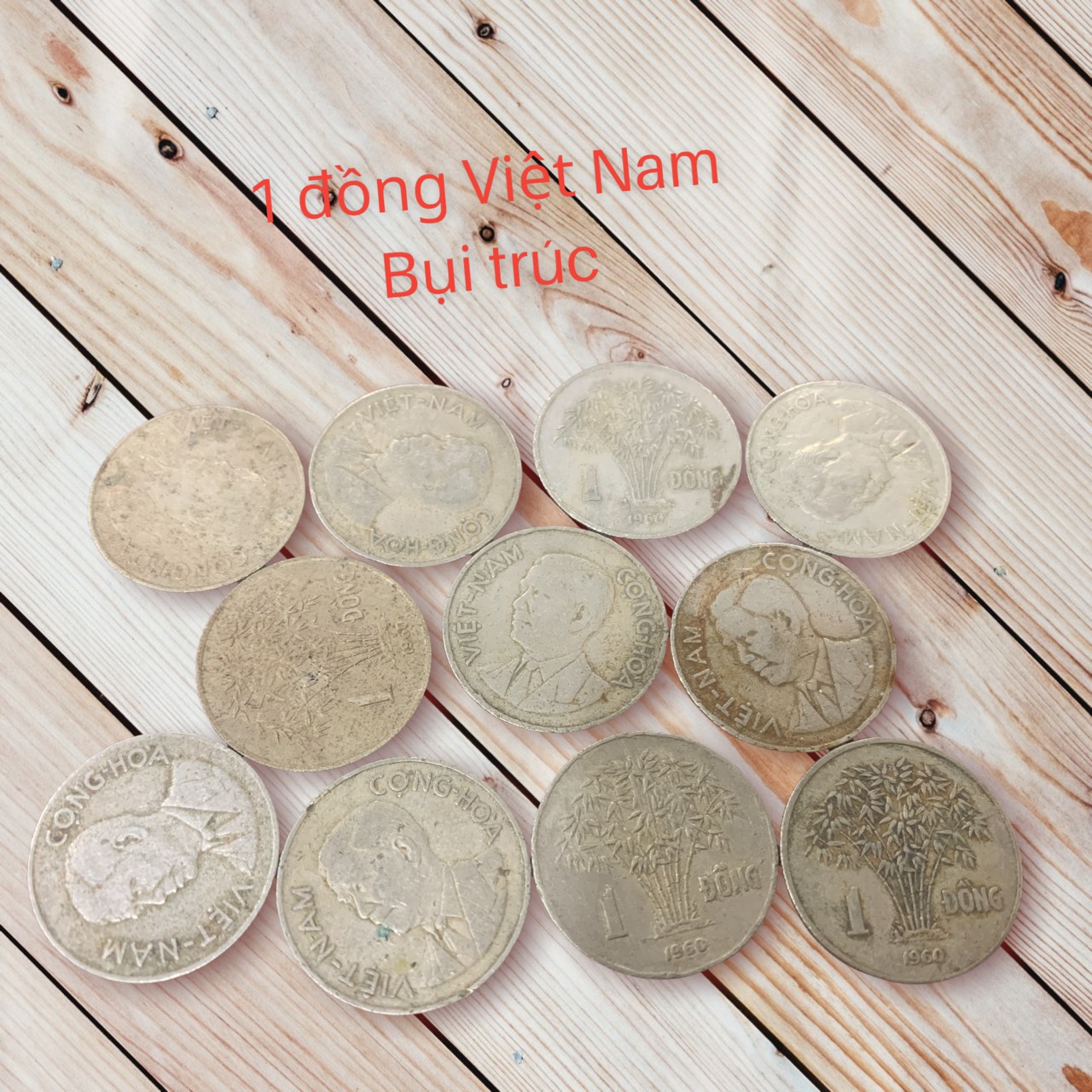 [chất lượng sáng] 10 đồng bông lúa chuẩn xưa biểu tượng nông nghiệp Việt Nam.
