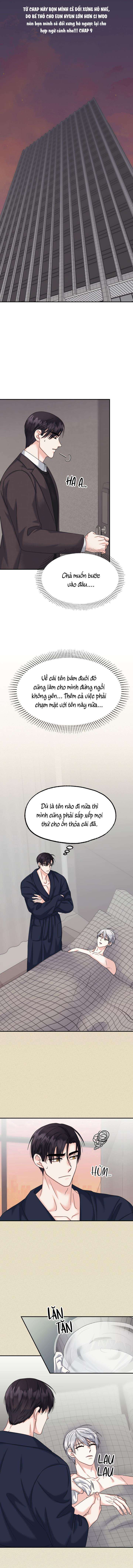 đây là chú thỏ mà bạn (không) đã đặt hàng chapter 11 1