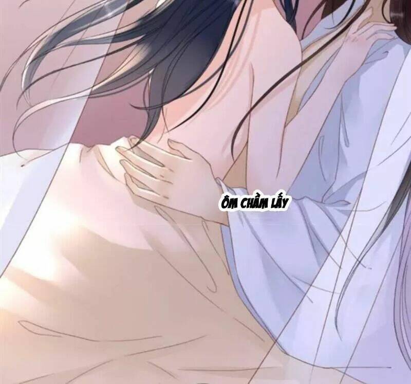 sủng phi của vương chapter 142 15