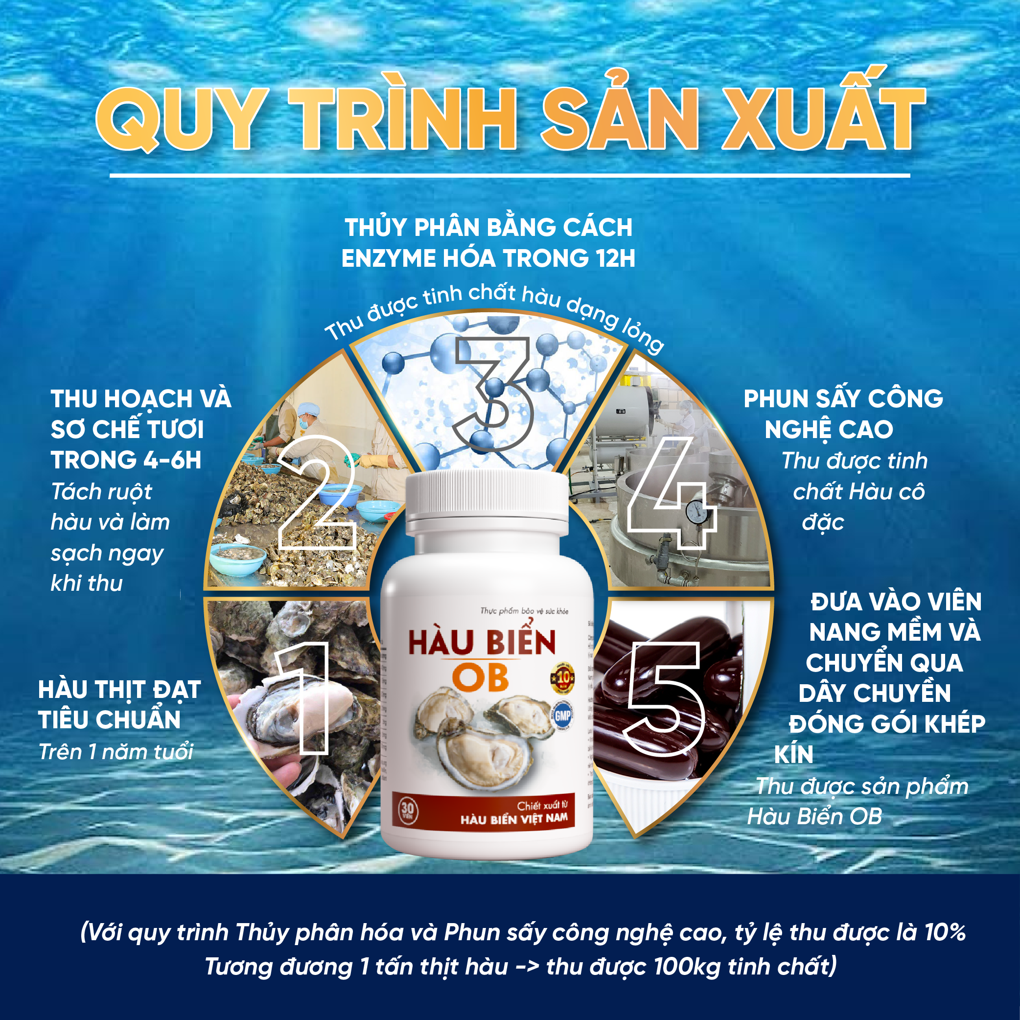 Thực Phẩm Chức Năng Tinh Hàu Biển OB - Tăng Cường Sinh Lý Nam Giới