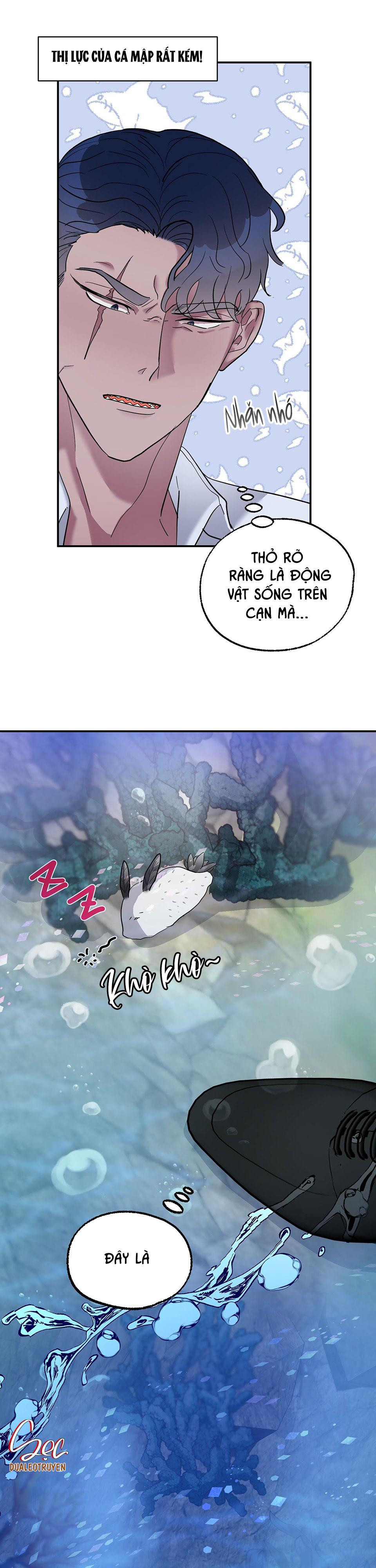 cá mập và cô dâu thỏ chapter 1 17