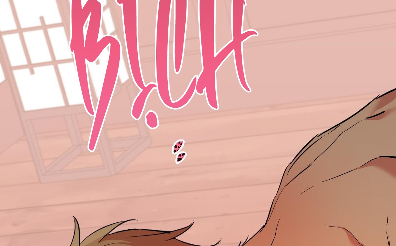 những chú thỏ của hapypy chapter 63 244