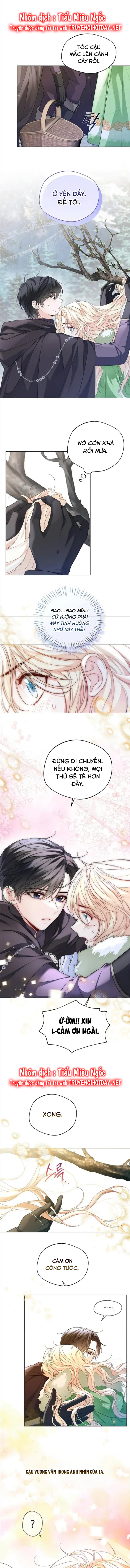 tiểu thư crystal thật ra là con trai chapter 31 5