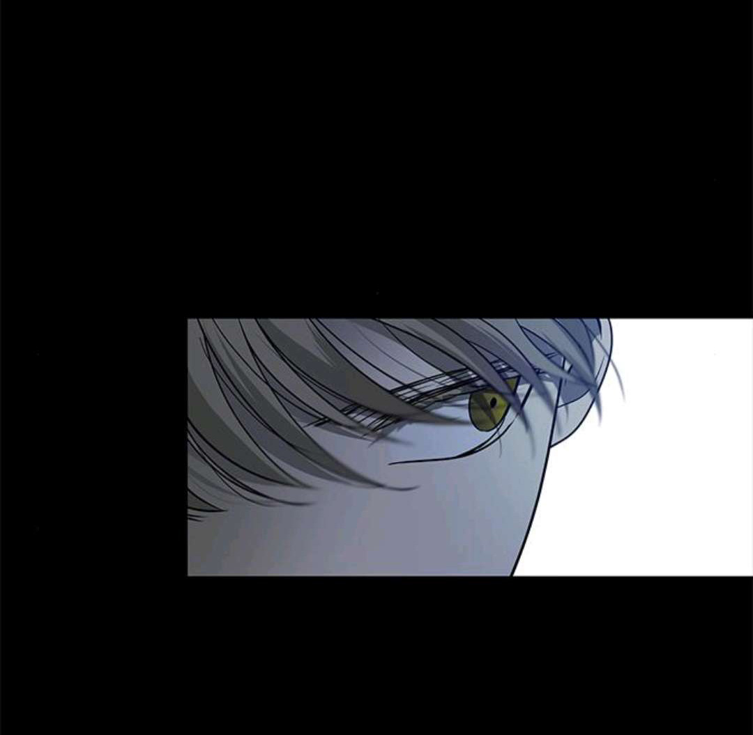 Cạm Bẫy chapter 169.2 9