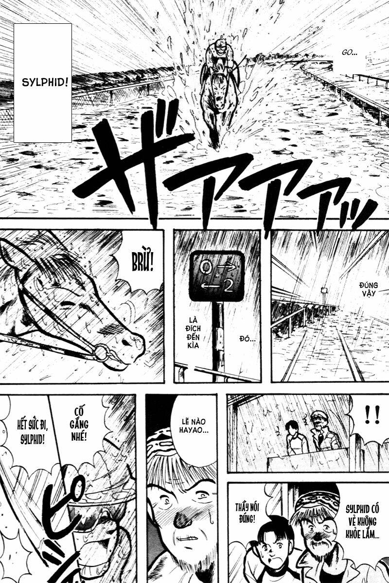 kaze no sylphid - phong mã silphid chapter 13 14