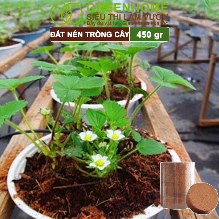 Đất Nén Hữu Cơ, 450gr Greenhome, Mụn Sơ Dừa Bánh Lớn Đã Qua Xử Lý, Nở Gấp 5 Lần, Trồng Rau, Trộn Giá Thể Trồng Cây