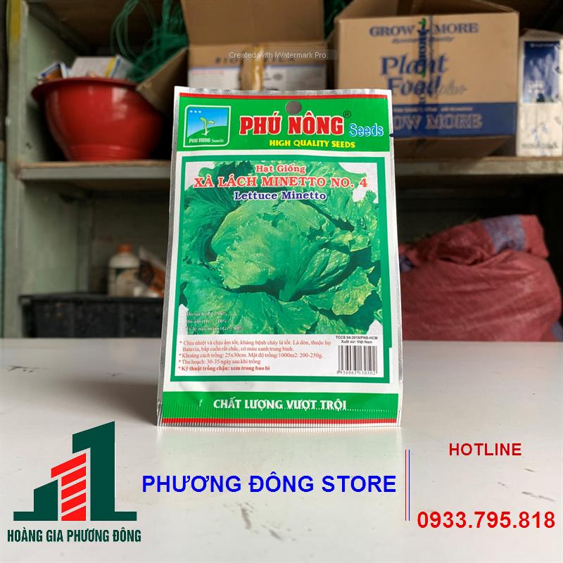 Combo 5-10 gói hạt giống rau xà lách Minetto giá rẻ, nảy mầm tốt