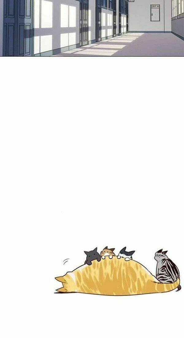 biến thân thành mèo chapter 100 54