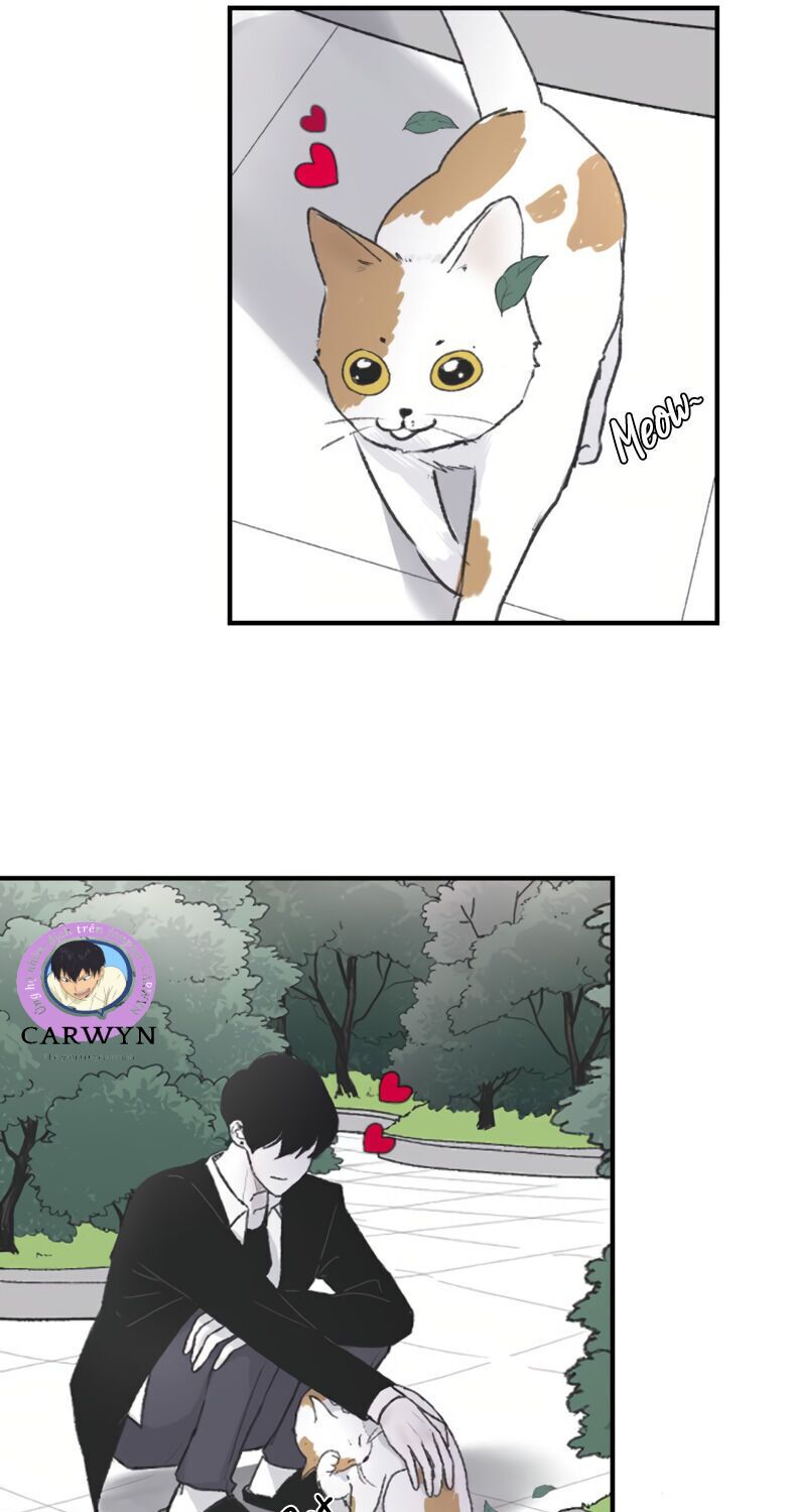 ba người anh trai cực phẩm của tôi chapter 4 20