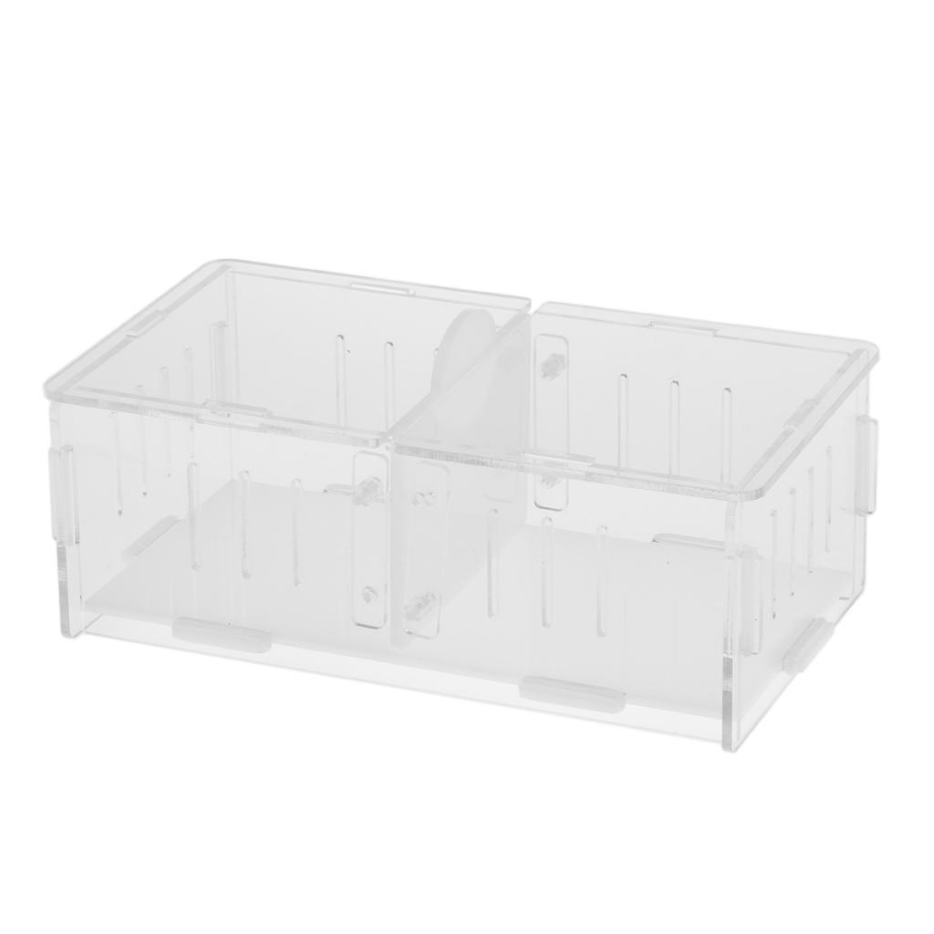 1x Reptile Cage Food Feeding Container For Spider Frog Cricket Turtle