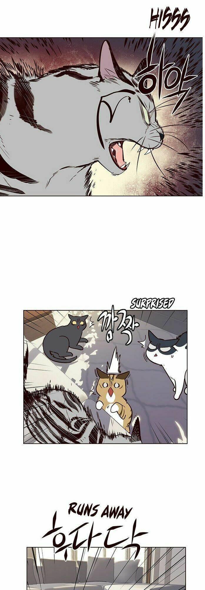 biến thân thành mèo chapter 7 39