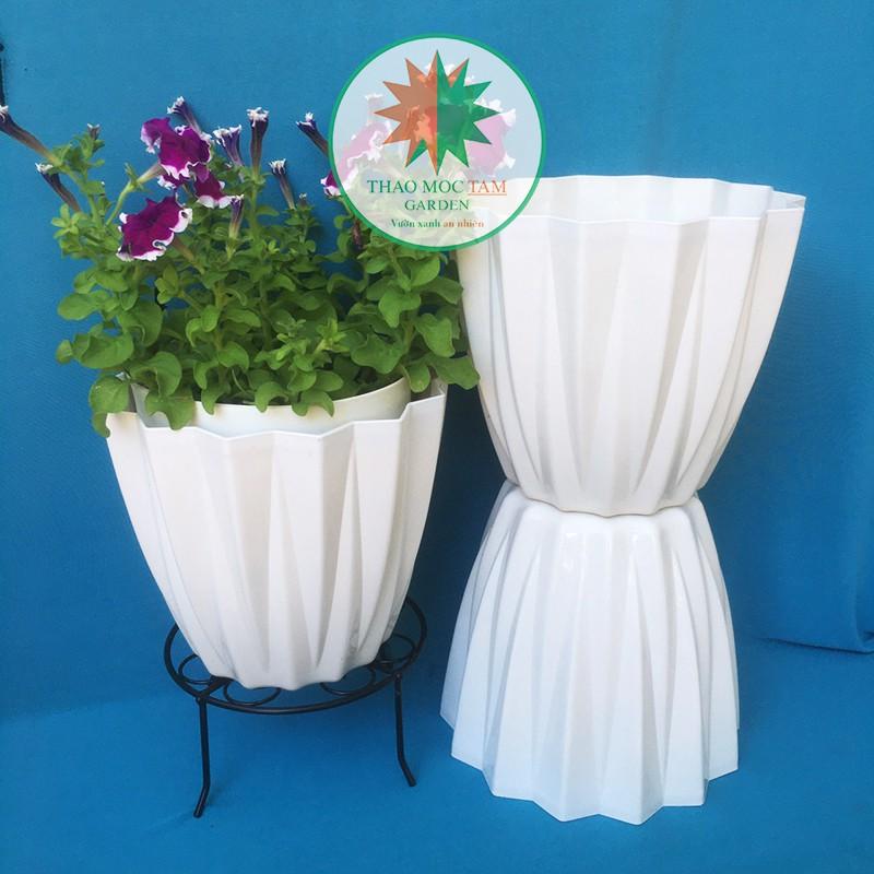 Chậu Kim Cương 25x22cm cạnh khế – Chậu nhựa kim cương nhiều cạnh, trồng hoa, cây kiểng trang trí sang trọng