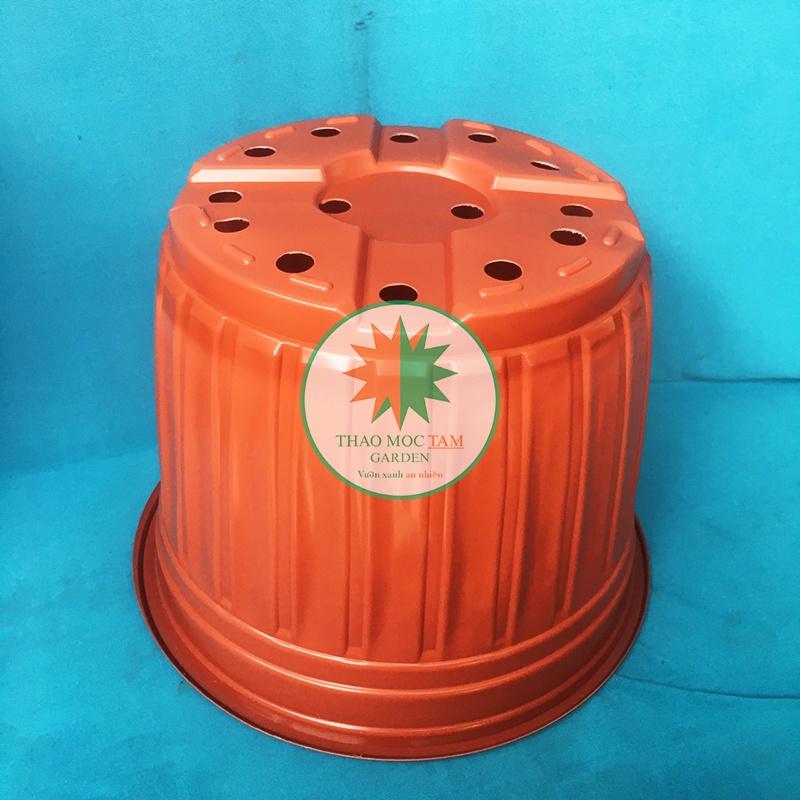 10cái Chậu trồng cây 28x20.5cm - Chậu nhựa trồng hoa, cây kiểng phù hợp các dòng hoa bụi lớn, trồng hoa hồng